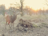 Sample photo