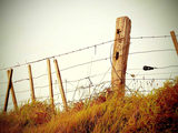 Sample photo