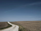Sample photo